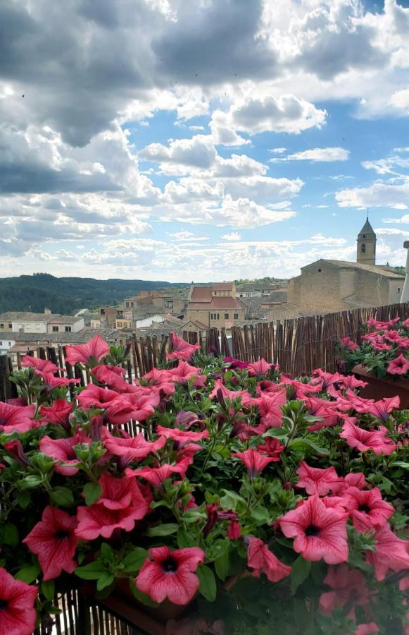 Espectacular Casa Rural Ca L'Esquerre Cerviá エクステリア 写真